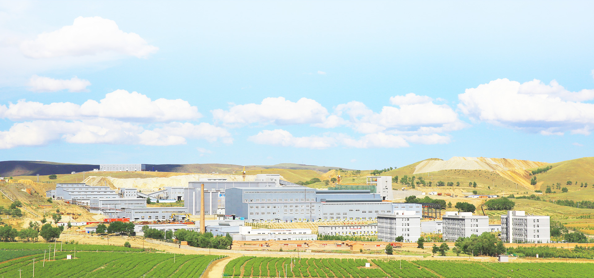 实现企业生长，，，，成绩员工价值，，，，践行社会责任。。。。。。